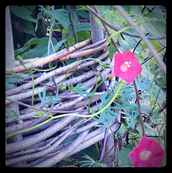 Meet your Posher, Steph - Picture 1 of 1